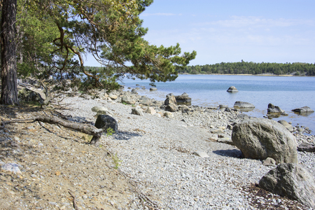 Rocky beach in the sea bay in Swedenの写真素材