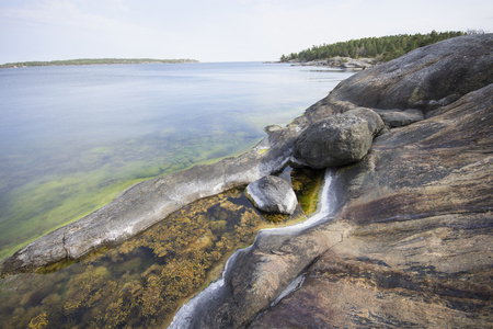 Rocky beach with moss in the sea bay in Swedenの写真素材