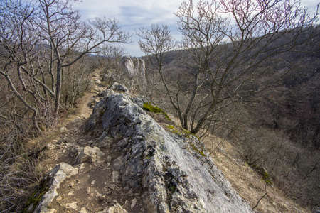 Rocky ridge with bare trees in winter at Dera gorge Buda mountains Hungaryの写真素材
