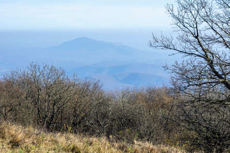 Late autumn view of Borzsony mountains from Nagy-cold peak, Hungaryの写真素材