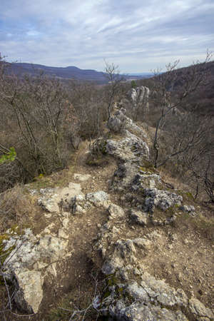 Rocky ridge with bare trees in winter at Dera gorge Buda mountains Hungaryの写真素材