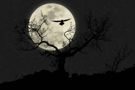 Bare tree and flying owl silhouette at night with large moon in backgroundの写真素材