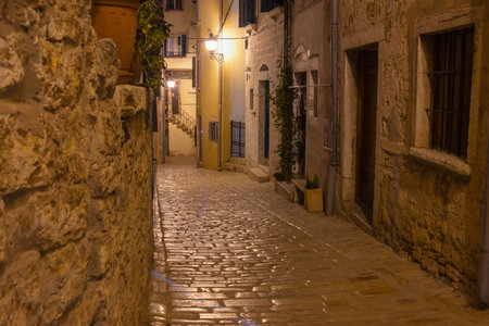 Cobbled street with old houses details by night in Rovinj old town, Croatiaの写真素材