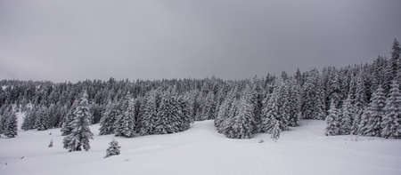 Panorama of the foggy winter landscape in the mountainの写真素材