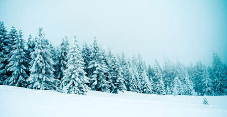 Panorama of the foggy winter landscape in the mountainの写真素材