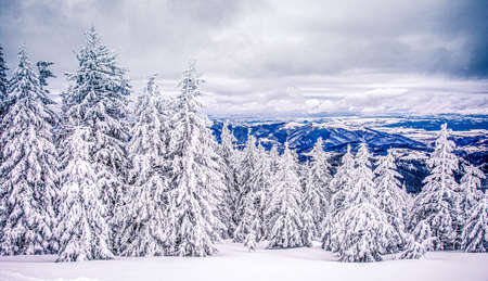 Panorama of the foggy winter landscape in the mountainの写真素材