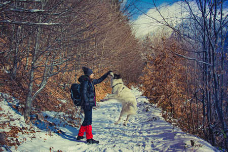 young woman and white dog trekking in winter mountains