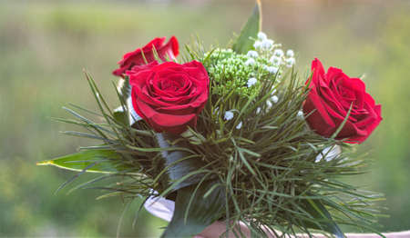 Red Roses Close up Outdoors at Weddingの写真素材