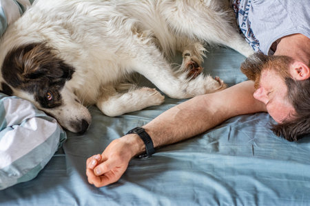 man and cute white dog sleeping in bedの写真素材