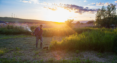 Mowing the grass with a lawn mower. Garden work concept background.