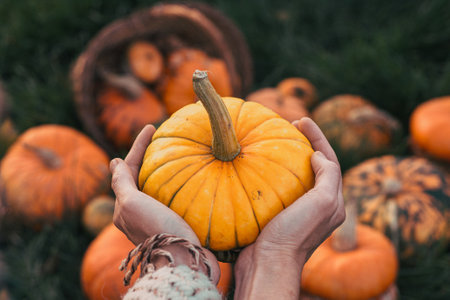 woman holding decoratives pumpkins outdoorの写真素材