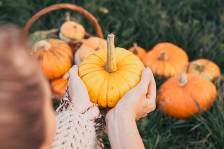 woman holding decoratives pumpkins outdoorの写真素材