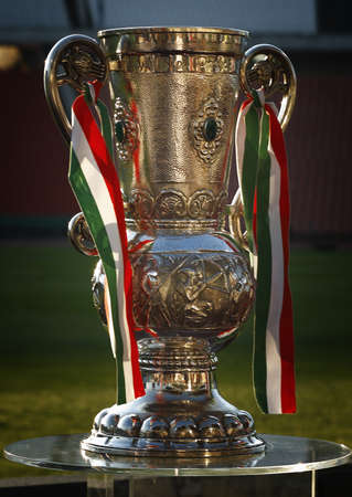BUDAPEST - MAY 17: The Trophy during Kecskemet vs. Videoton Hungarian Cup Final football game at Puskas Ferenc Stadium on 17th May, 2011 in Budapest, Hungary.のeditorial素材