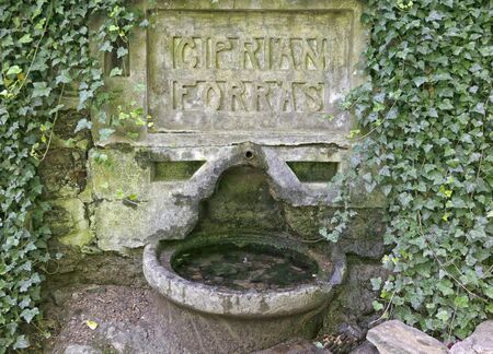 Ciprian springの写真素材
