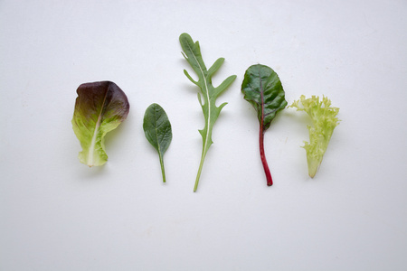 Individual leafy green salad ingredients side by sideの写真素材