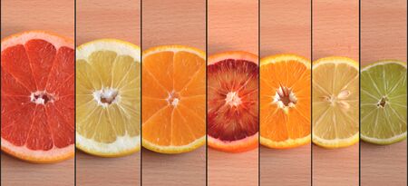 Slices of seven different citrus varieties arranged by sizeの写真素材