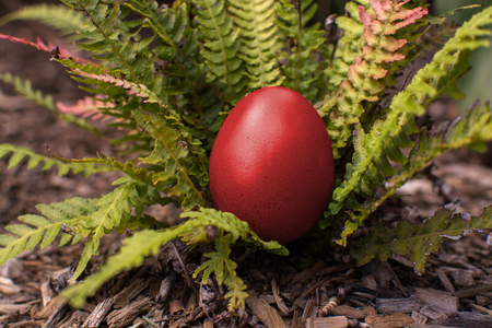 Dyed colourful easter eggs - Eastern European traditionの写真素材