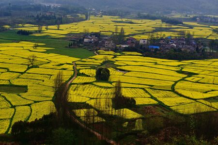 Beautiful scenery in Anhui, Chinaの写真素材