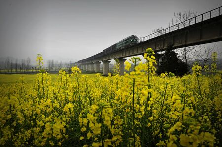 Beautiful scenery in Anhui, Chinaの写真素材