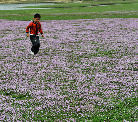Anhui Province Huangshan Yixian Countyのeditorial素材