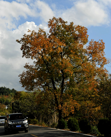 Anhui Province Huangshan Yixian Countyのeditorial素材