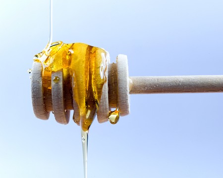 Honeyの写真素材