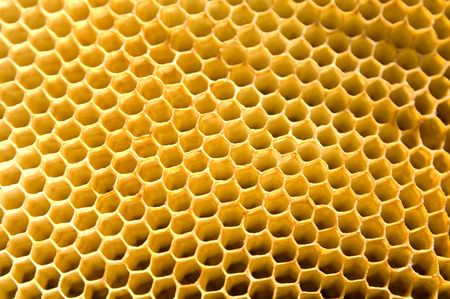honeycomb