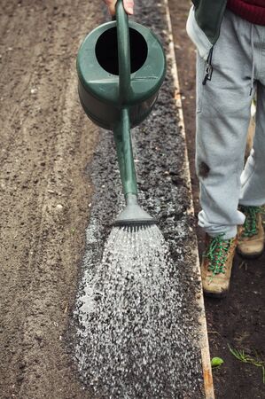 Frontal portrait view of a hand watering the freshly planted ground.の写真素材