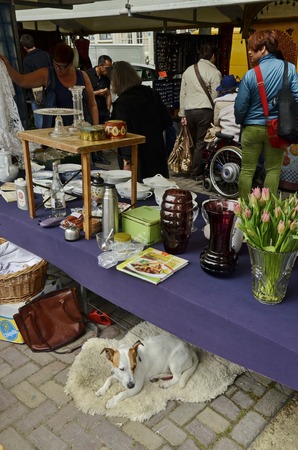 Amsterdam, Netherlands - May 21, 2016: A vendor table with her dog under it at the weekend flee market at the Northern Market (Noordermarkt), in the Jordaan dictrict.のeditorial素材