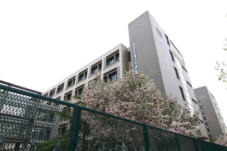 Begonia flower and campusのeditorial素材