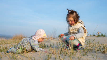 Siblings playing on the beachの写真素材