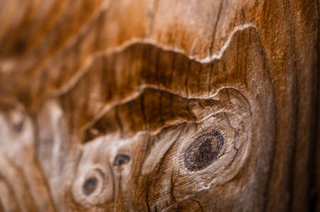 Old wood plank texture backgroundの写真素材