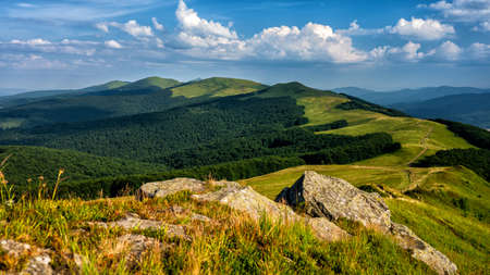 A sunny day in a green mountain meadow. The Bieszczady Mountains, Carpathians, Ukraine.