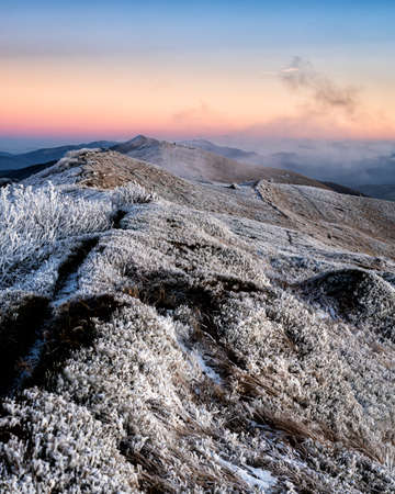 Bieszczady National Park, the Carpathians, Poland. A magical sunset in Polonina Wetlinska.の写真素材