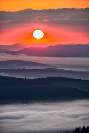 Dark and foggy forest at sunrise. The trees in the back light. Bieszczady National Park, the Carpathians, Poland.の写真素材