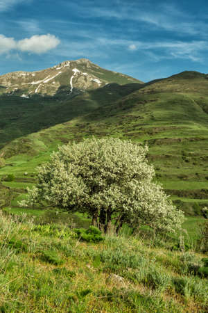 A beautiful mountain landscape. A delightful spring view. Zangezur Mountains. Armenia.