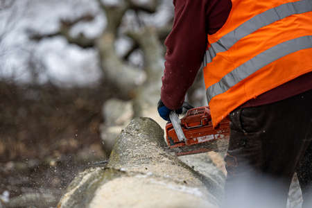 A lumberjack working in the forest in winter. The Carpathian Mountains, Poland.