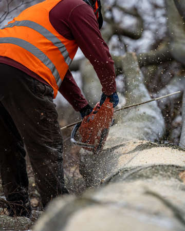 A lumberjack working in the forest in winter. The Carpathian Mountains, Poland.の写真素材
