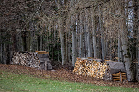 A pile of firewood drying before winterの写真素材