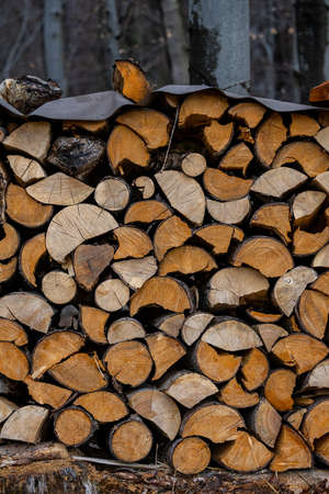 A pile of firewood drying before winter