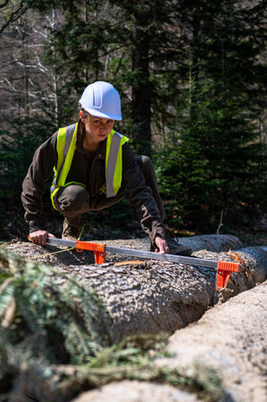 Pretty woman working as a forester.の写真素材