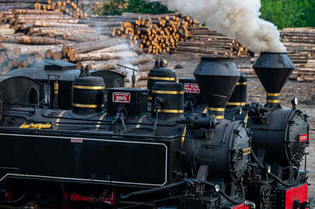 Viseu de Sus, Maramures, Romania - June 13, 2022: Steam train Mocanita.