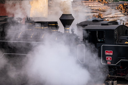 Viseu de Sus, Maramures, Romania - June 13, 2022: Steam train Mocanita.のeditorial素材