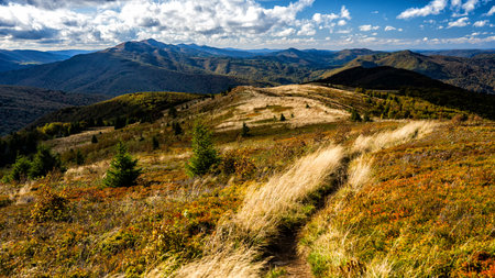 The palette of autumn colors in the mountains. Bukowe Berdo, Bieszczady National Park, Carpathians, Poland.の写真素材