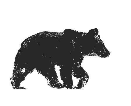 Silhouette of a brown bear on a white backgroundの写真素材