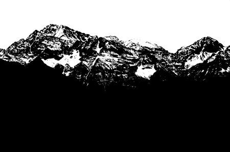 Beautiful black and white mountain landscape with fog and forest. Sunrise and sunset in mountains. Outdoor and nature concept. Vector illustration.のイラスト素材