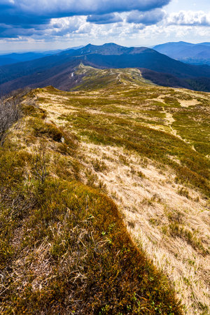 Sunny spring day in a mountain meadow. Polonina Wetlinska, Bieszczady National Park, Poland.の写真素材