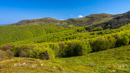 Spring landscape of the Bieszczady Mountains. A view of the Mount Halicz.の写真素材