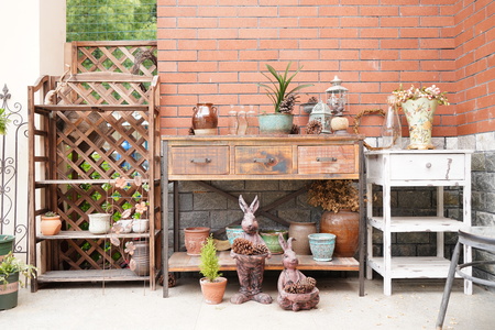 flowers potsの写真素材