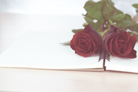 Red roses on notebook prepare to gift on Valentine's Day - Vintage Style